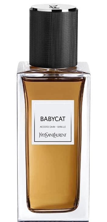 babycat ysl gdzie kupić